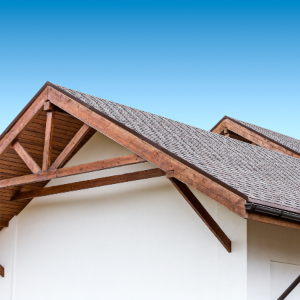 Protect home with pro roof clean